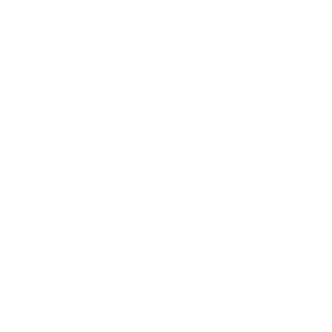 programers